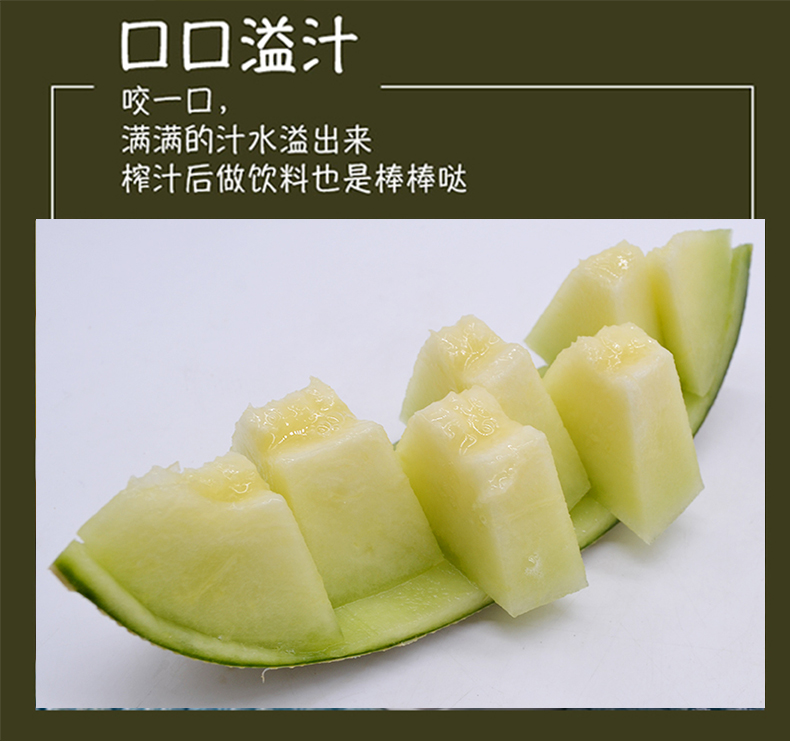 日本静冈夕张网纹瓜_05.jpg