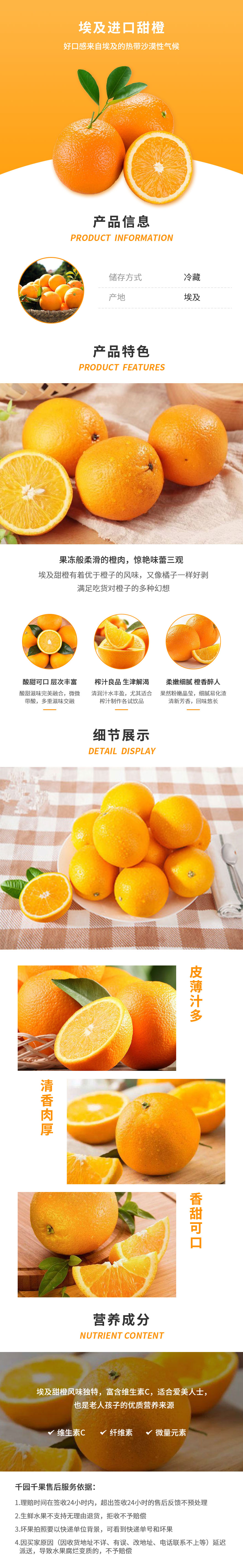 埃及进口甜橙.jpg