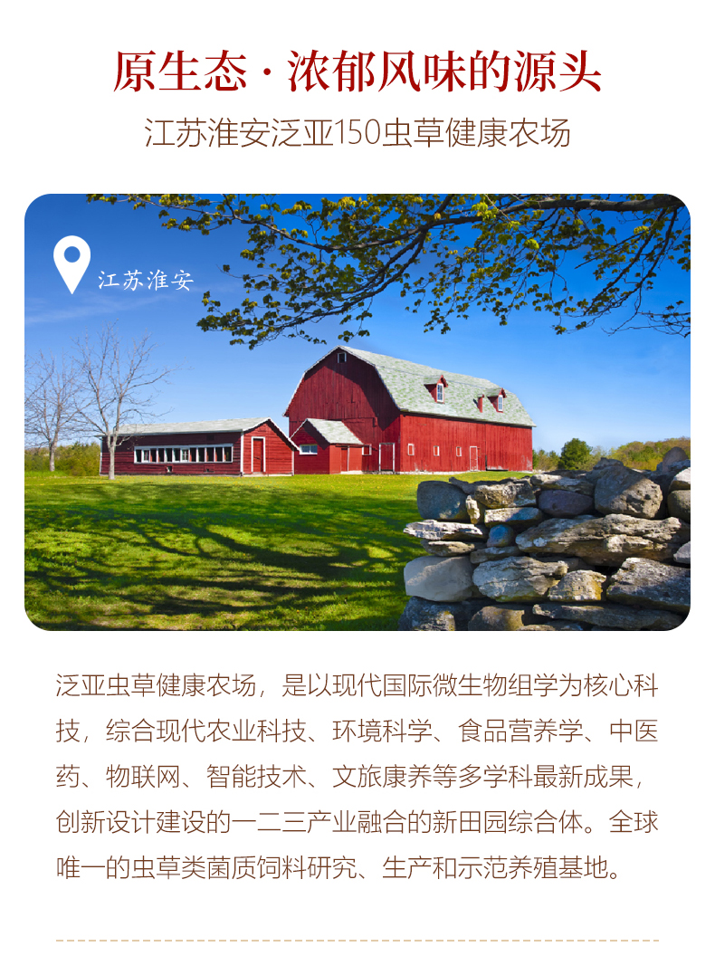 虫草鸡详情图_03.jpg