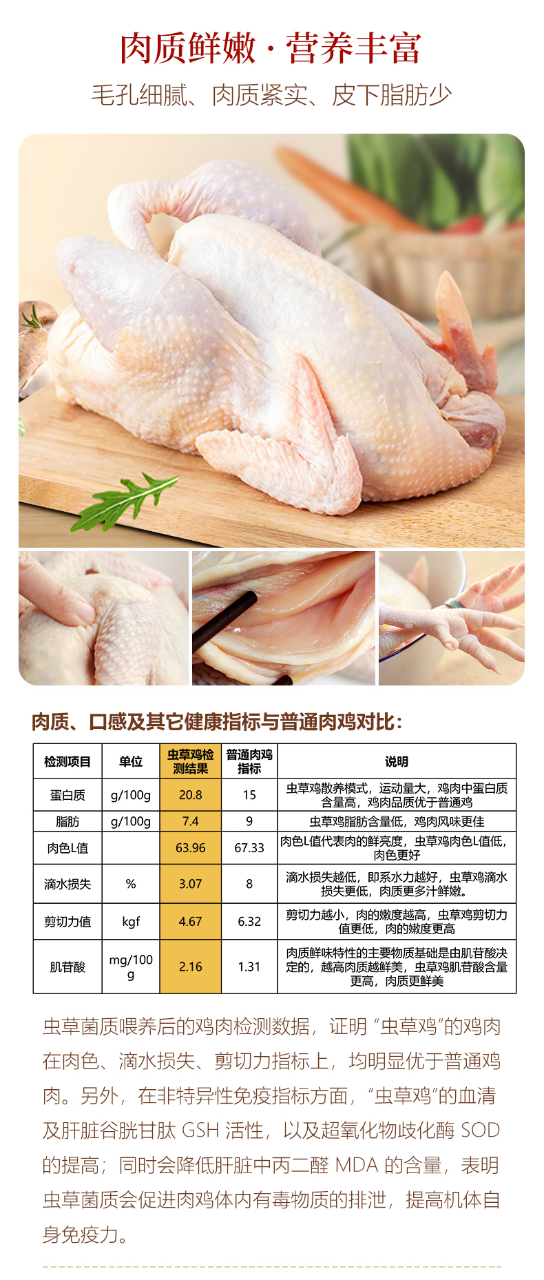 虫草鸡详情图_06.jpg