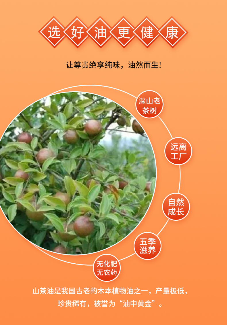 纳福汇山茶油500mlx2礼盒详情页（新）_05.jpg