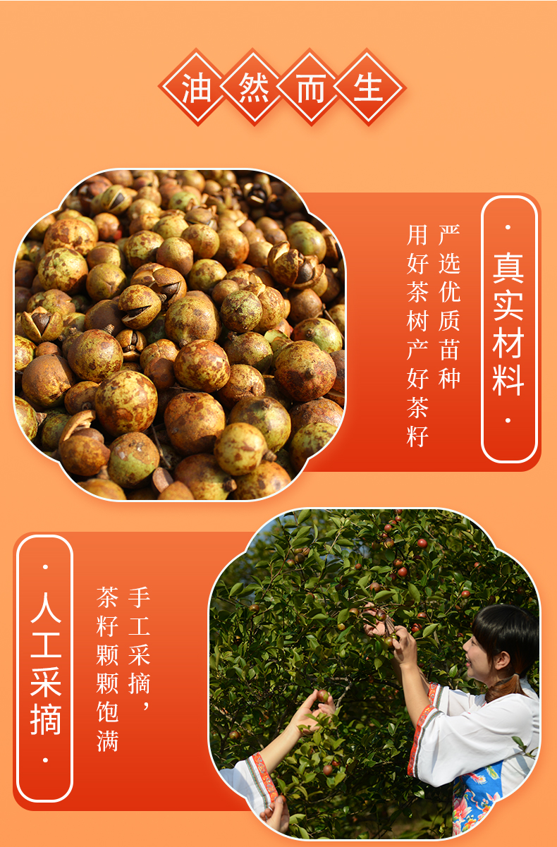 纳福汇山茶油500mlx2礼盒详情页（新）_08.jpg