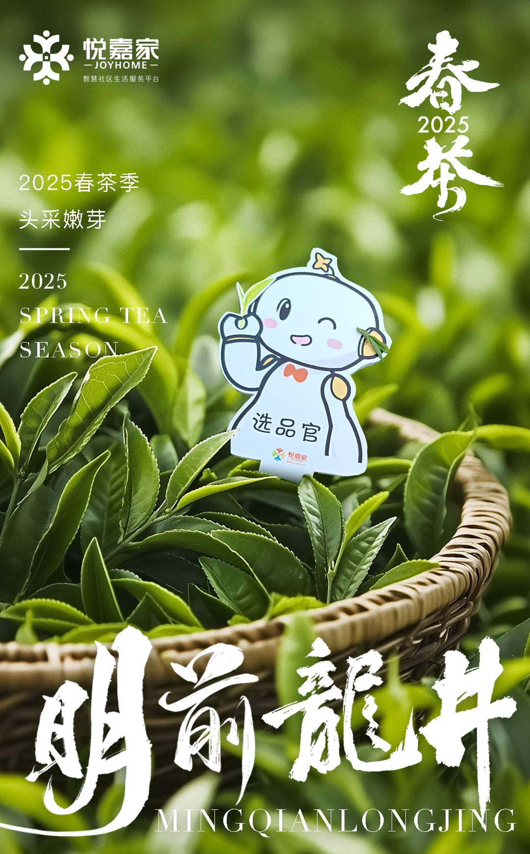 3.11详情头.jpg