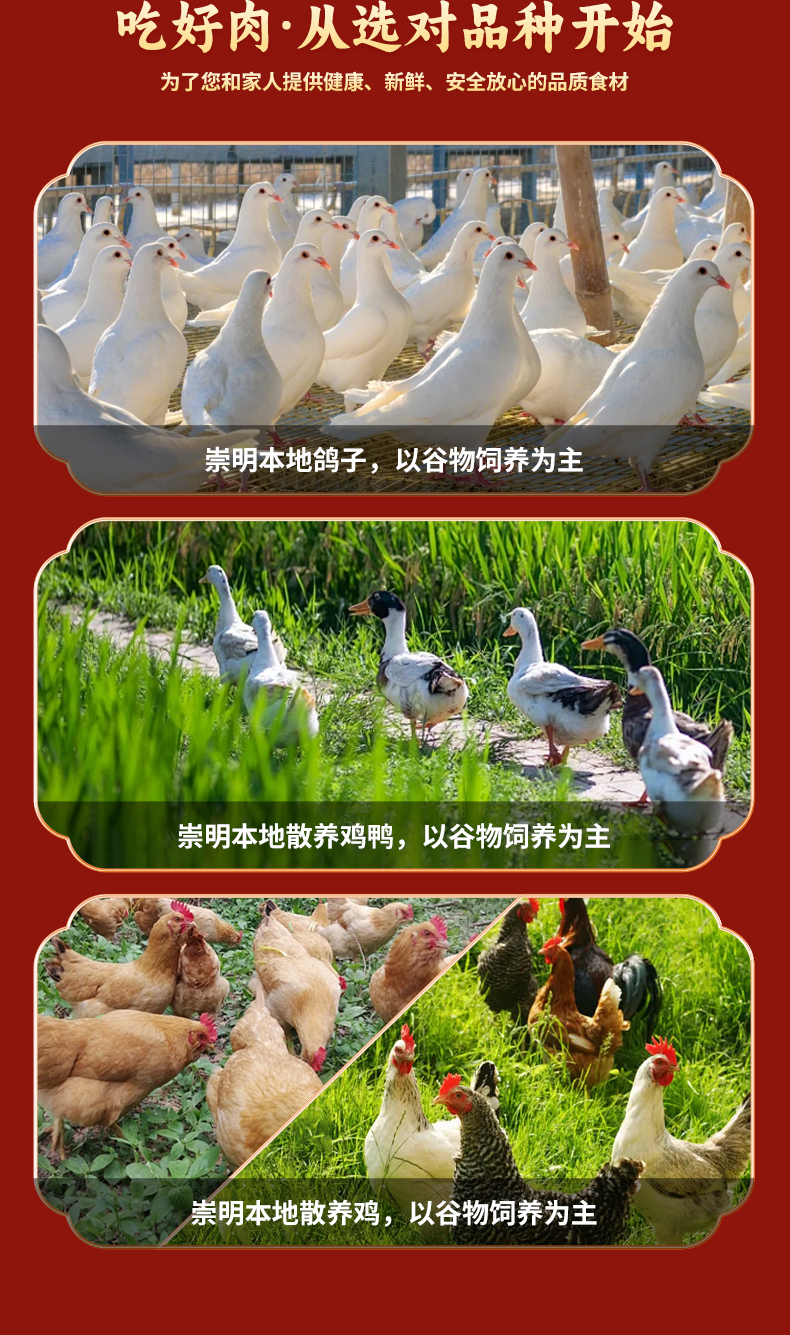 详情页_06.jpg