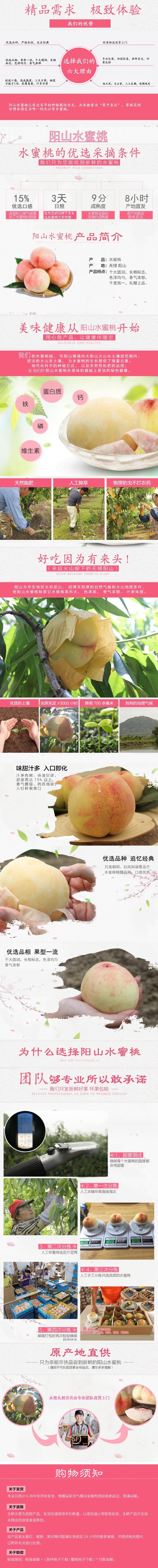 阳山水蜜桃长图.jpg