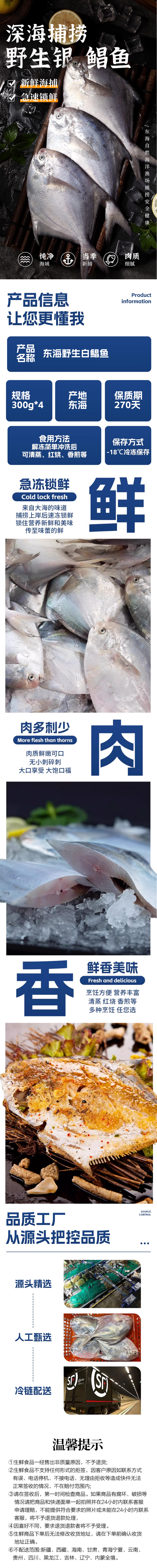 小鲳鱼.jpg