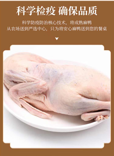 e70b06713b68403d3372f86e921d11ce.png