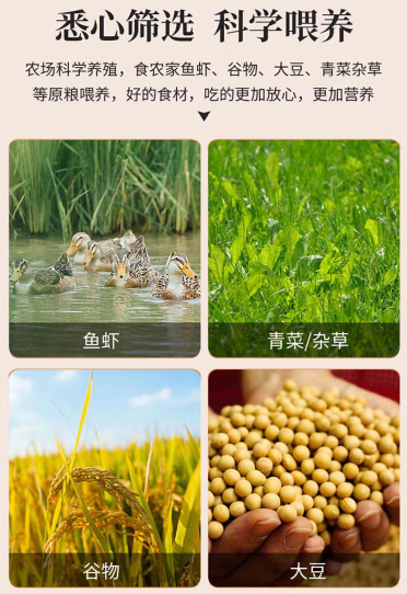 f251f2c59e2693800cc45eda72379c52.png