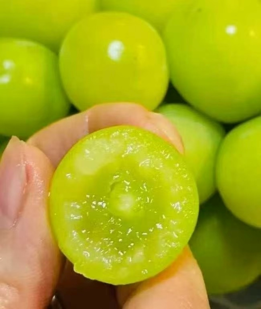 1759840828446899.jpg IMG_2116.JPG