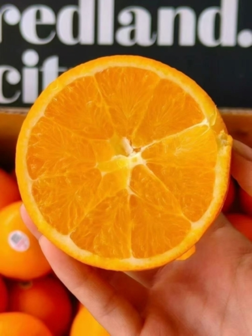 1759840861257704.jpg IMG_2378.JPG