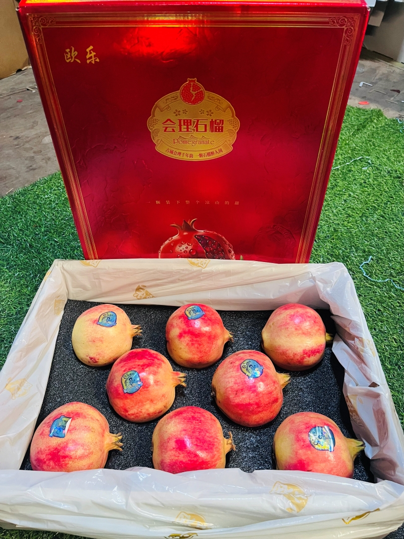 1759926891655661.jpg 1759926891655661.jpg