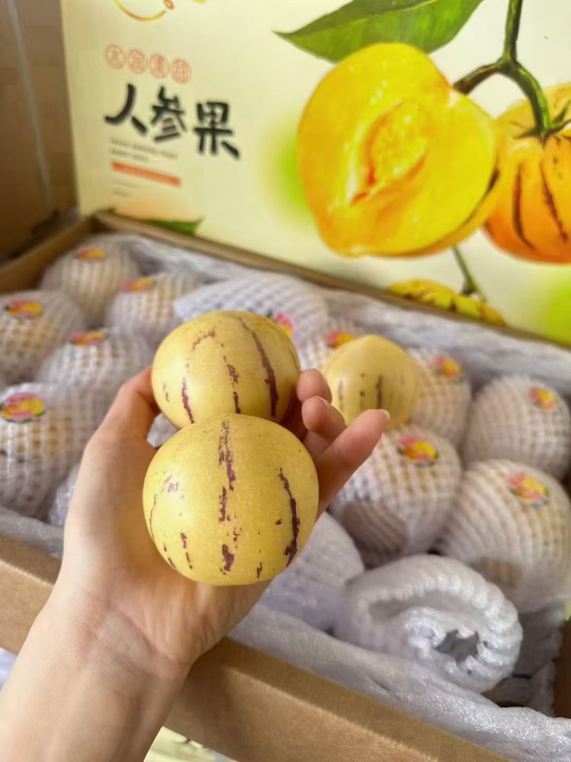 1760102309556325.jpg 1760102309556325.jpg