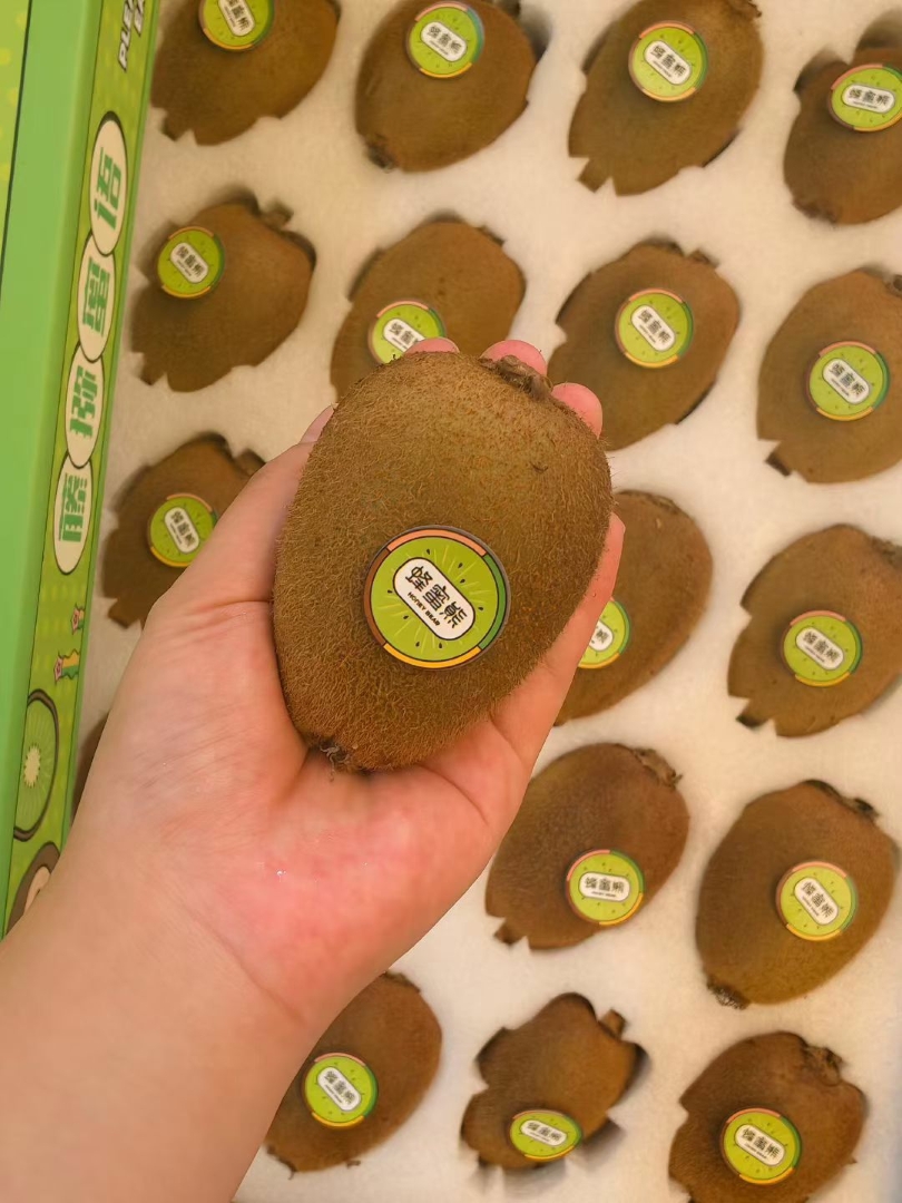 1760102484650538.jpg 1760102484650538.jpg