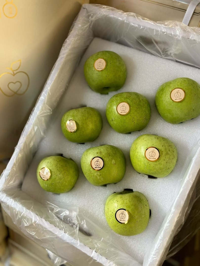 1760102584914349.jpg 1760102584914349.jpg