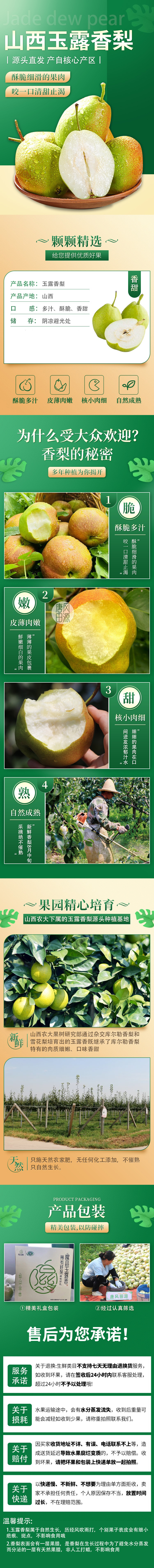 玉露香梨长图[1].jpg