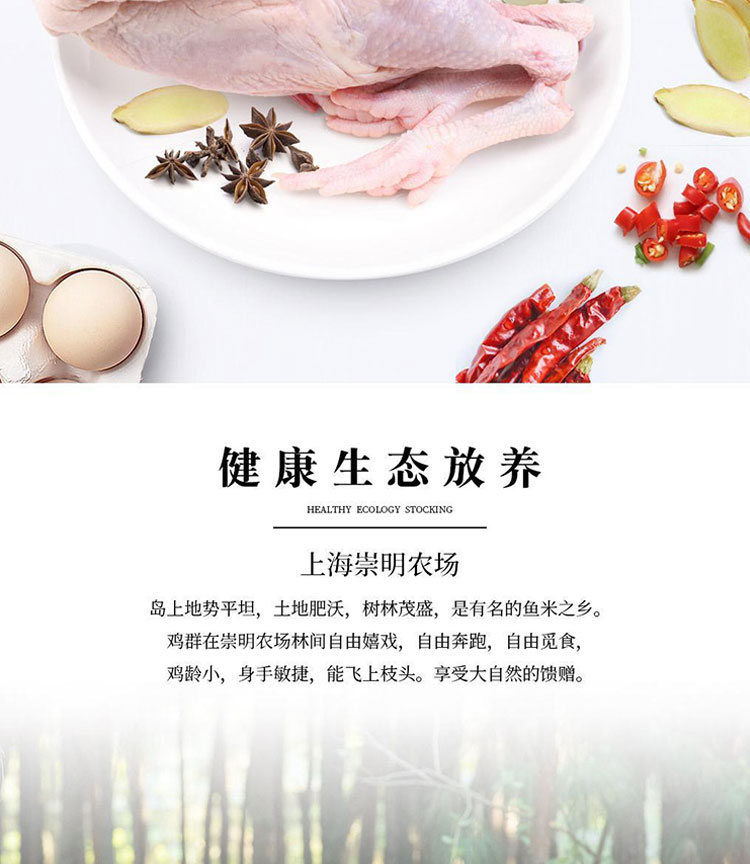 光明大瀛家禽218型详情图_03.jpg