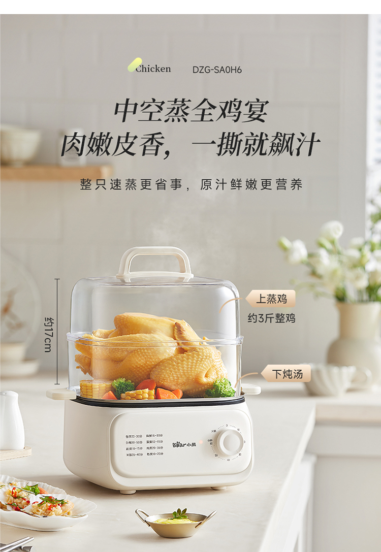 DZG-SA0H6线下改色款_09.jpg