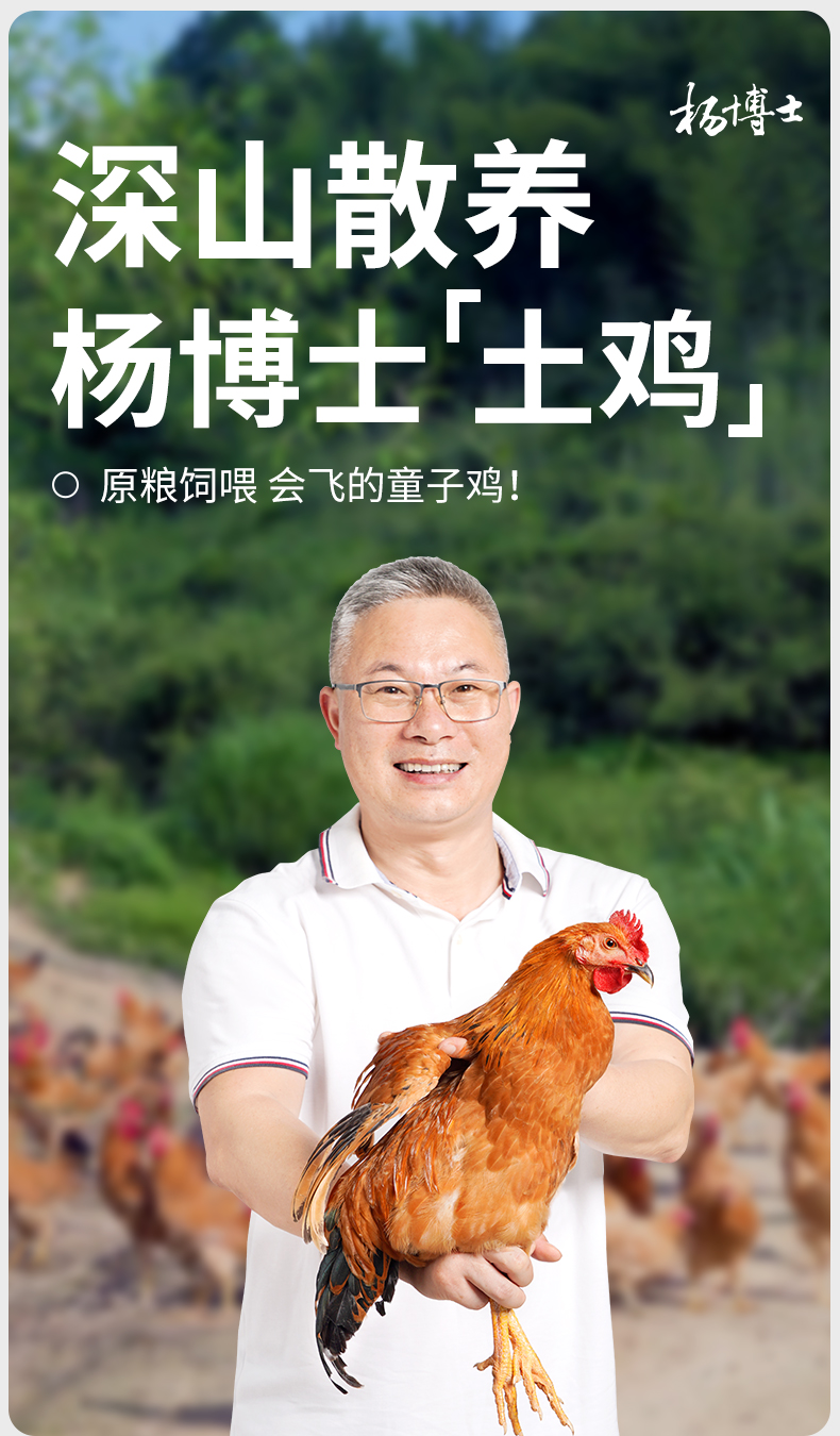 童子鸡1只+鸽子+面1袋+滑鸡酱1+炒鸡酱1_01.jpg