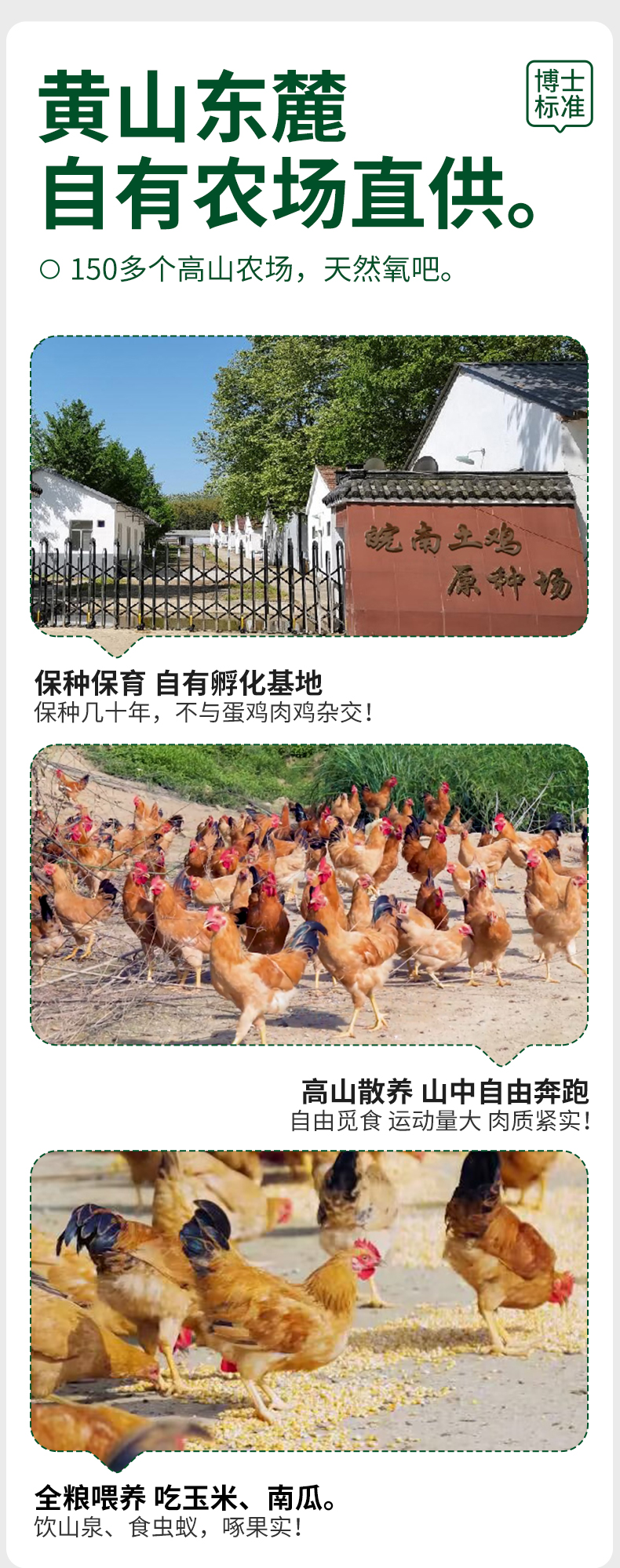 童子鸡1只+鸽子+面1袋+滑鸡酱1+炒鸡酱1_03.jpg