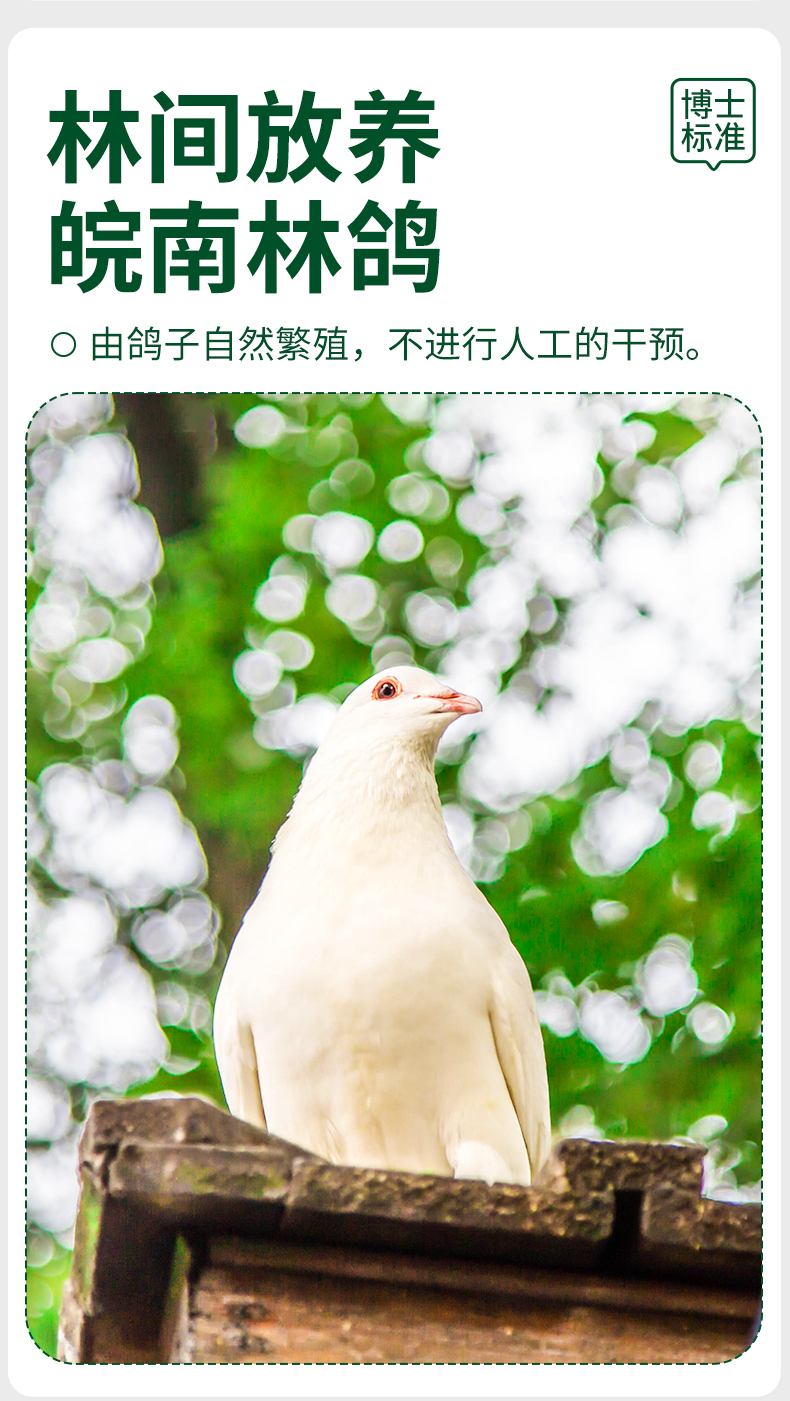 童子鸡1只+鸽子+面1袋+滑鸡酱1+炒鸡酱1_04.jpg