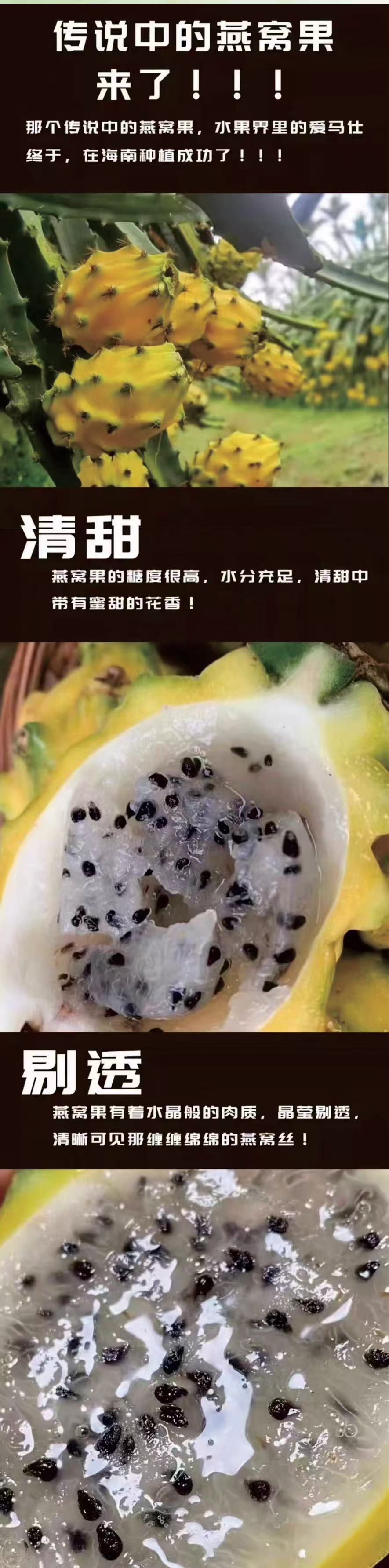 燕窝果详情页.jpg