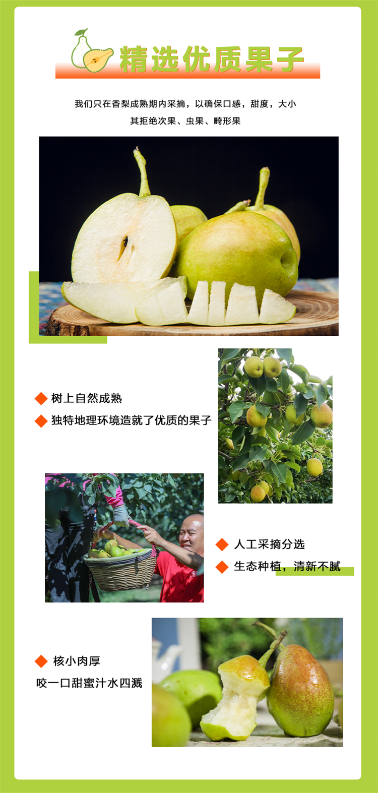 详情页 3.jpg