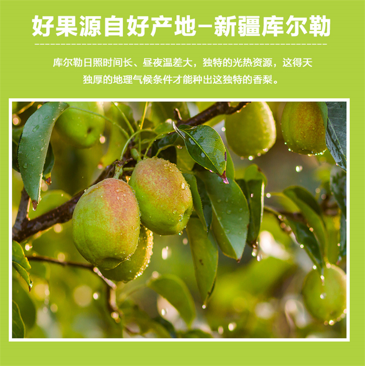 详情页 5.jpg