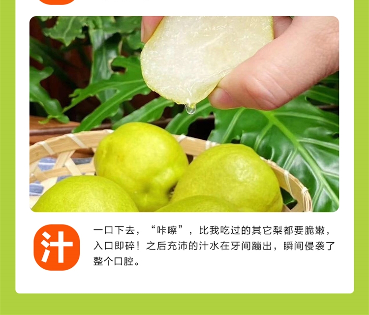 详情页 8.jpg
