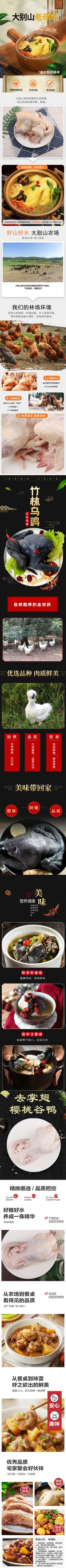 清美-精选家禽组合298型B-2(1).jpg