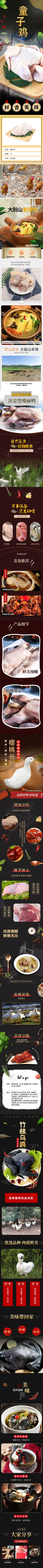 清美-精选家禽组合498型A-2(1).jpg