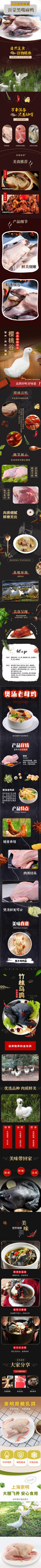 清美-精选家禽组合558型A-2(1).jpg