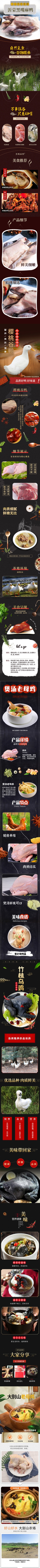 清美-精选家禽组合558型B-2(1).jpg
